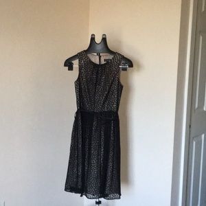 Black Lacy dress with polka dots